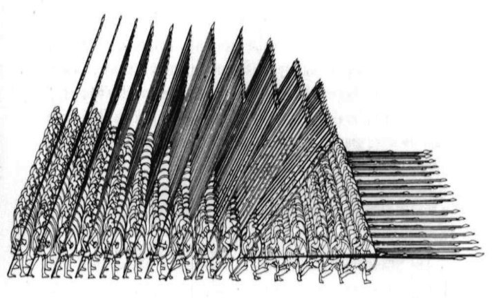 Fig. 1: prospetto laterale di una syntagma; si osservano le prime 5 linee con la sarissa in attacco.